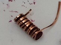 Inductor with edible core